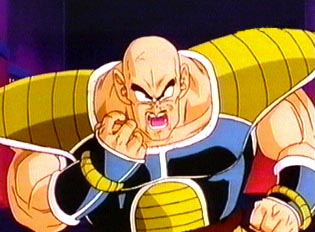 nappa.jpg