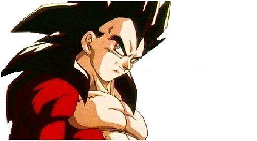 ssj4vegita2.jpg