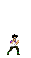 videl.gif